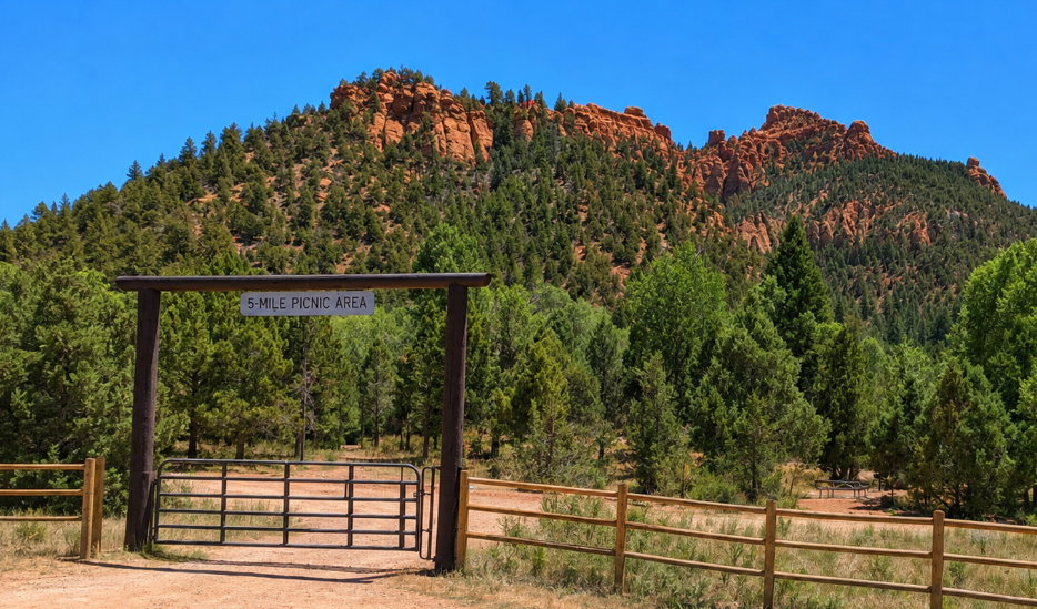 ADA-accessible picnic site